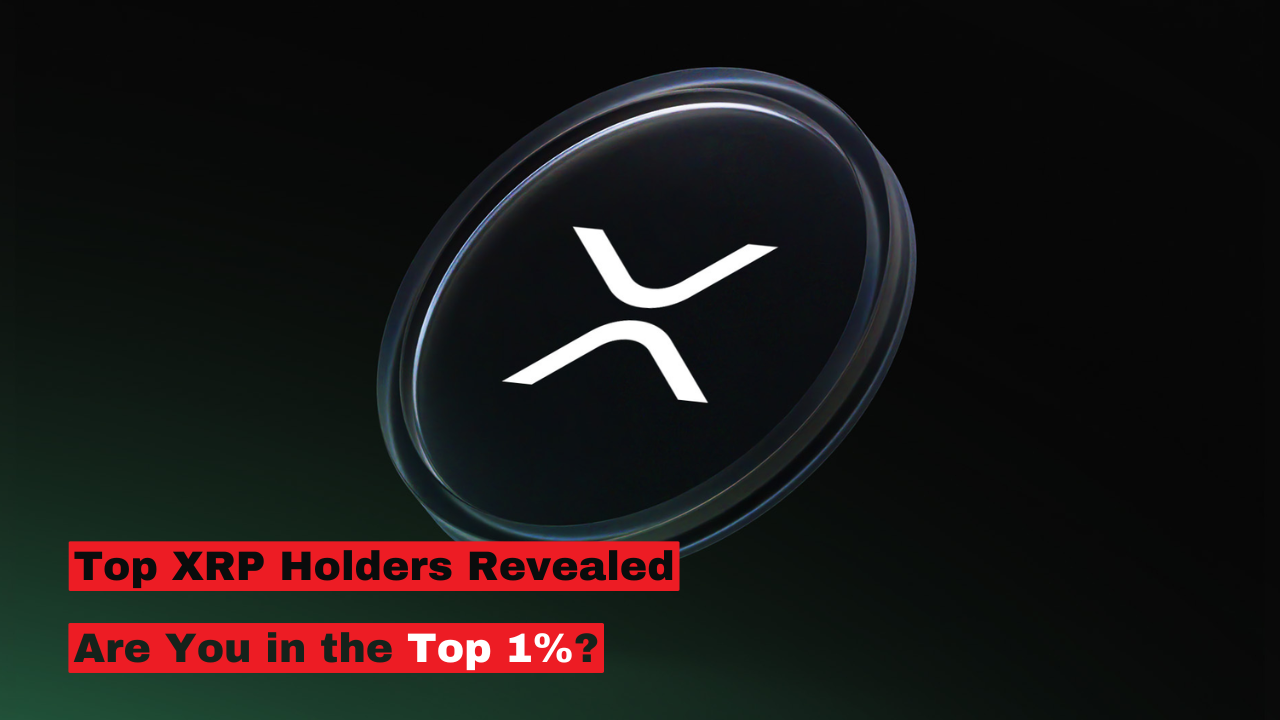 XRP Rich List